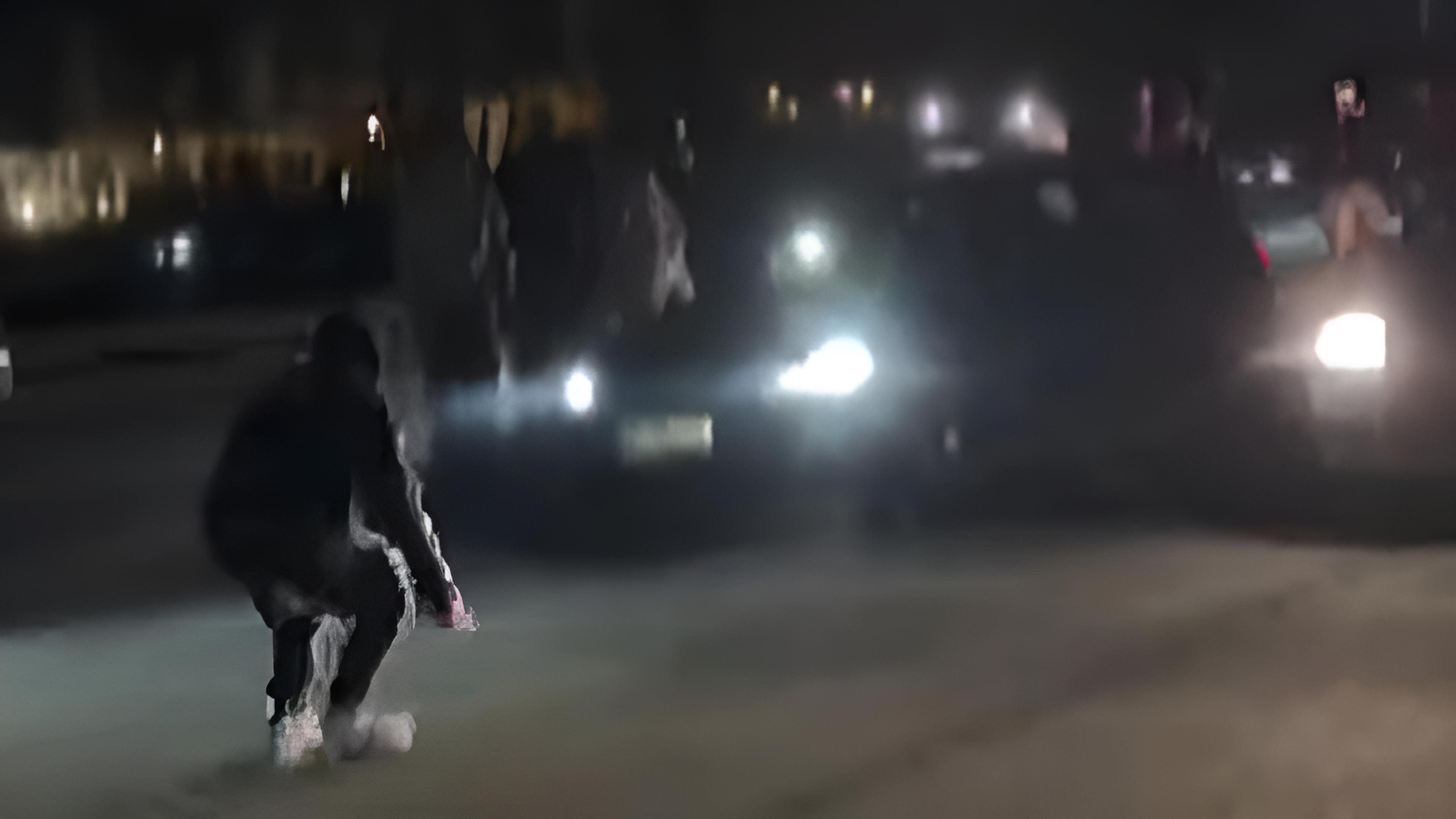 Imaxe da Garda Civil