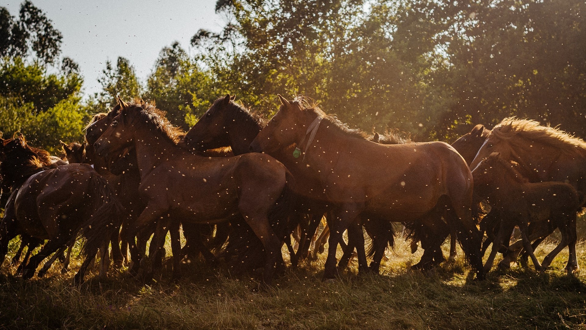 Imaxe de arquivo/Agostime/Europa Press
