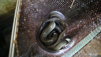 Carlos Castro-Europa Press-Arquivo