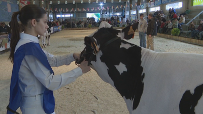 Unha das participantes no concurso de manexo para xente nova