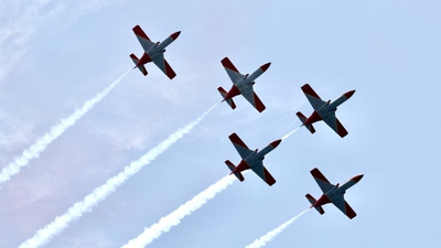 Exhibición aérea do Exército do Aire. Ministerio de Defensa.
