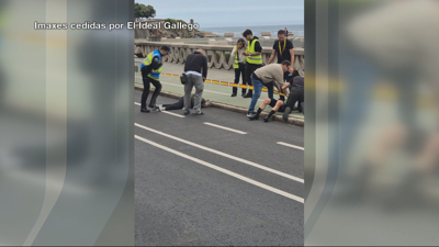 Imaxe tras o atropelo na proba Gran Camiño