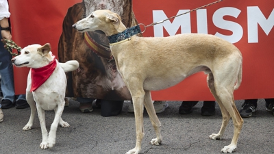 Europa Press (Arquivo)