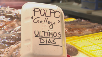 Por diante dous meses de inactividade na pesca do polbo en Galicia