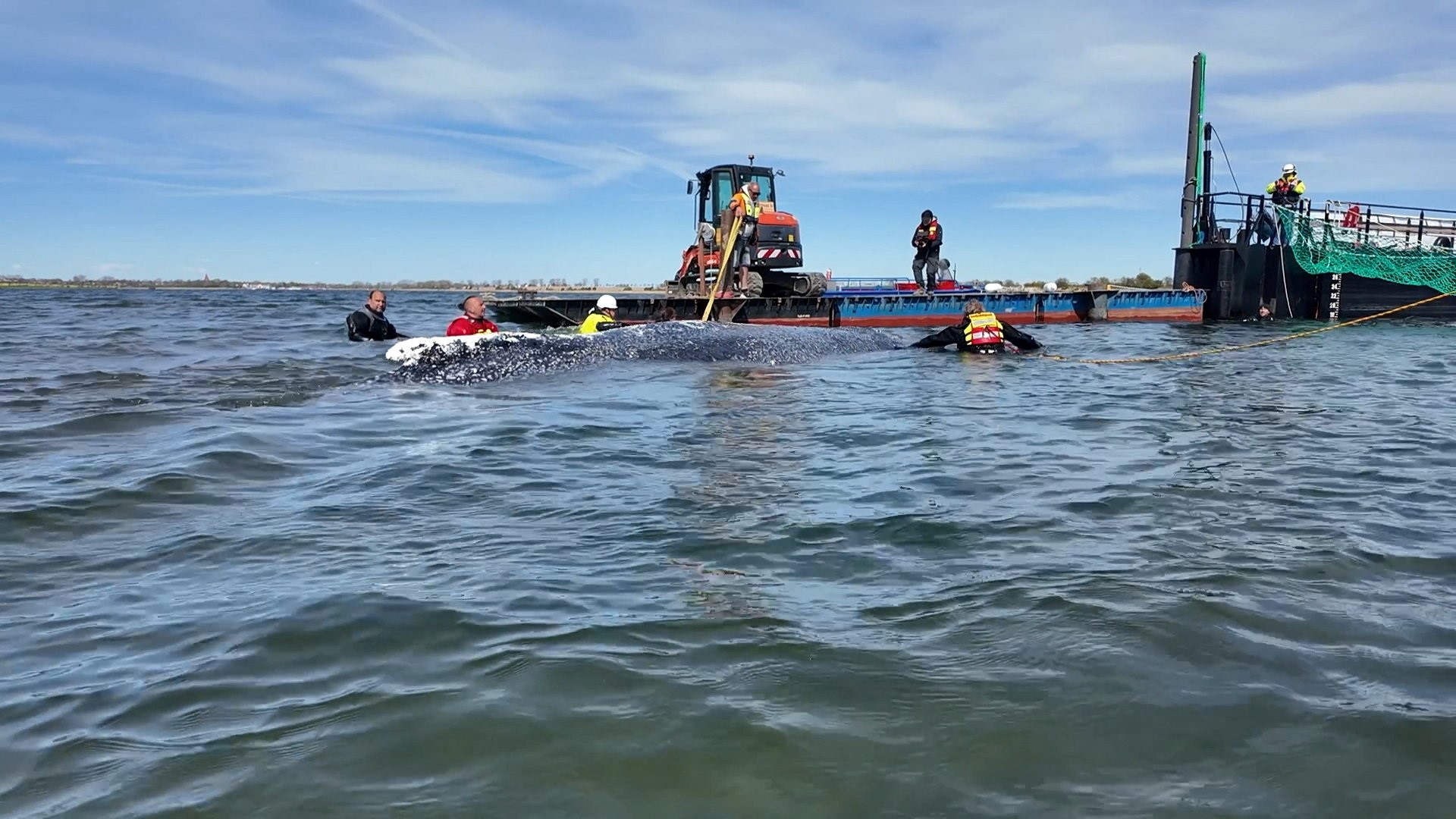 Imaxe do operativo de rescate da balea. Schwarck/REUTERS