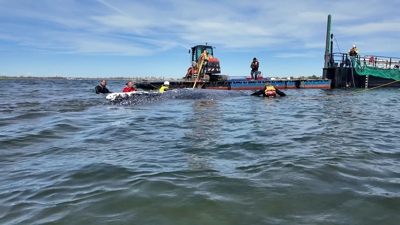 Imaxe do operativo de rescate da balea. Schwarck/REUTERS