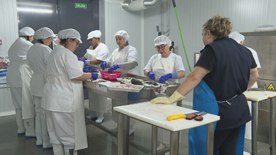 O grupo de alumnos, onde se mesturan varias nacionalidades, ve neste curso unha oportunidade para entrar no mercado laboral