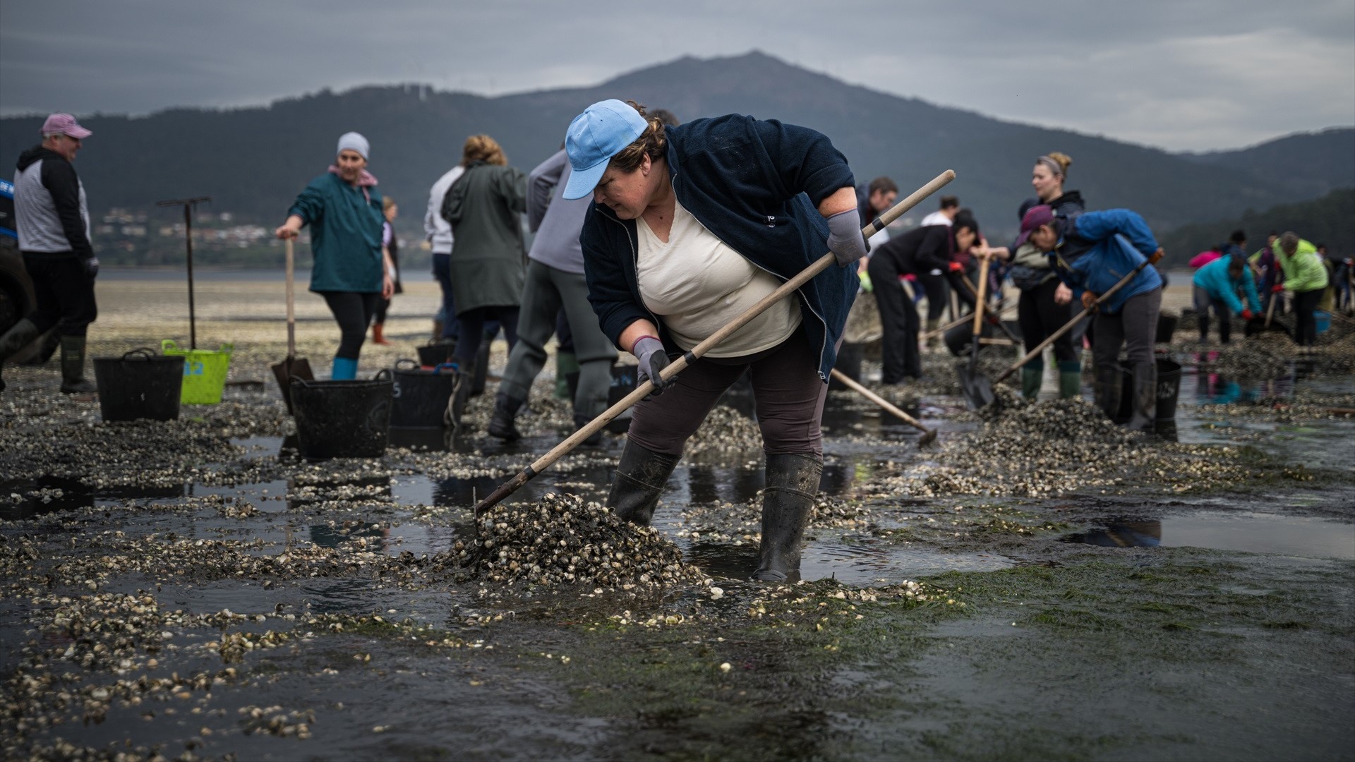 Mariscadoras de Noia recollendo bivalvo morto no Testal en marzo de 2026. Europa Press-Arquivo