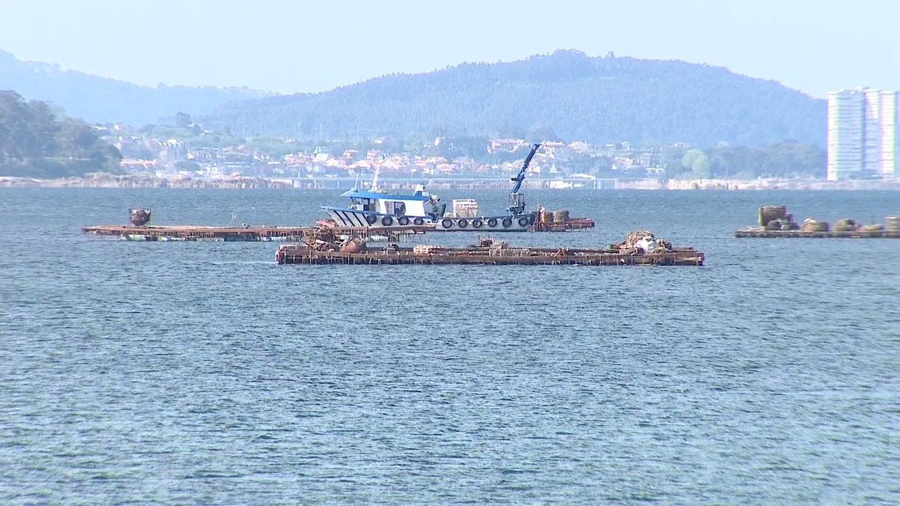Bateas na ría de Vigo