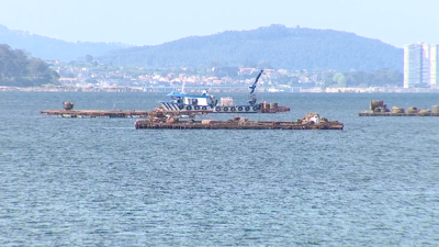 Bateas na ría de Vigo