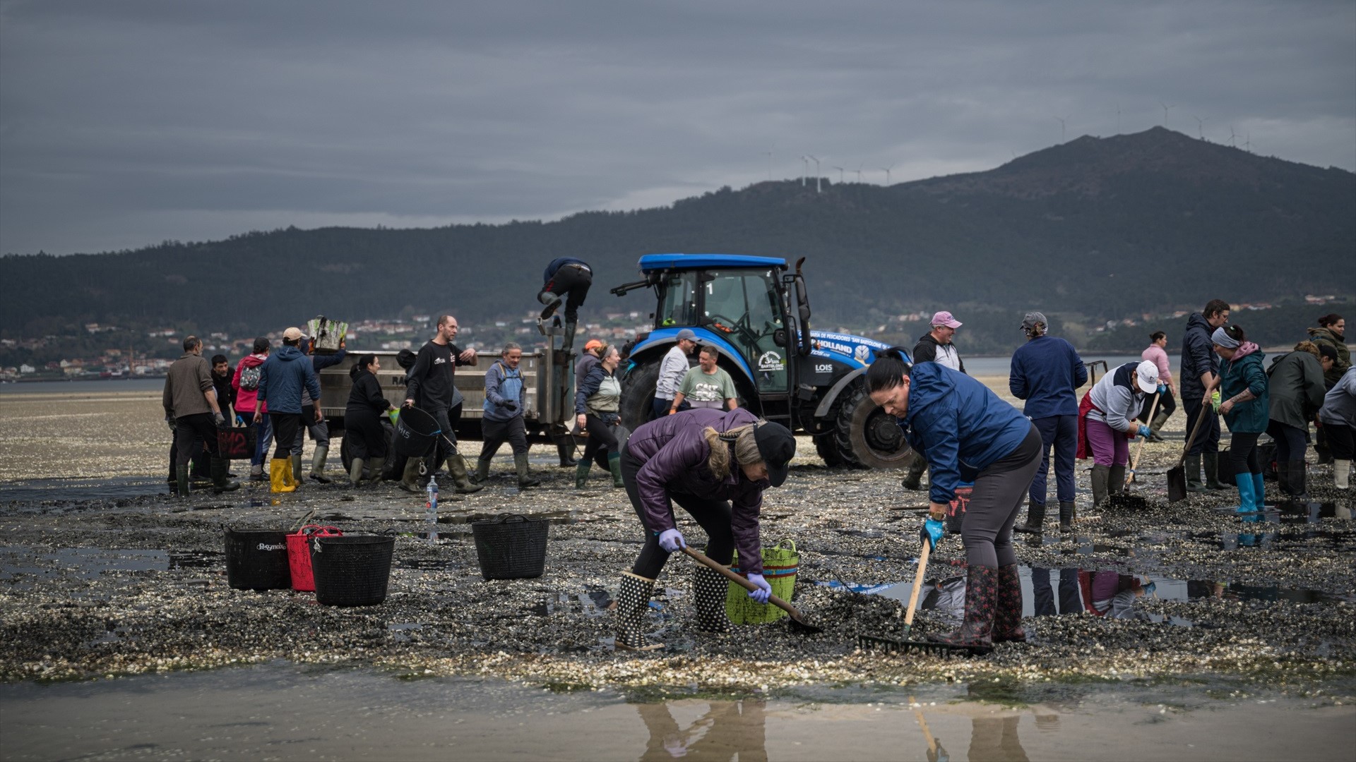 Mariscadoras recollendo bivalvo morto en marzo de 2026. Europa Press
