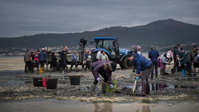 Mariscadoras recollendo bivalvo morto en marzo de 2026. Europa Press