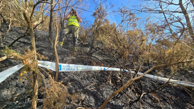 Investigación de incendios en Verea e Quintela de Leirado