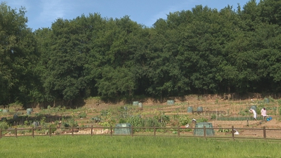 Hortos ecolóxicos á beira do río Rato, en Lugo