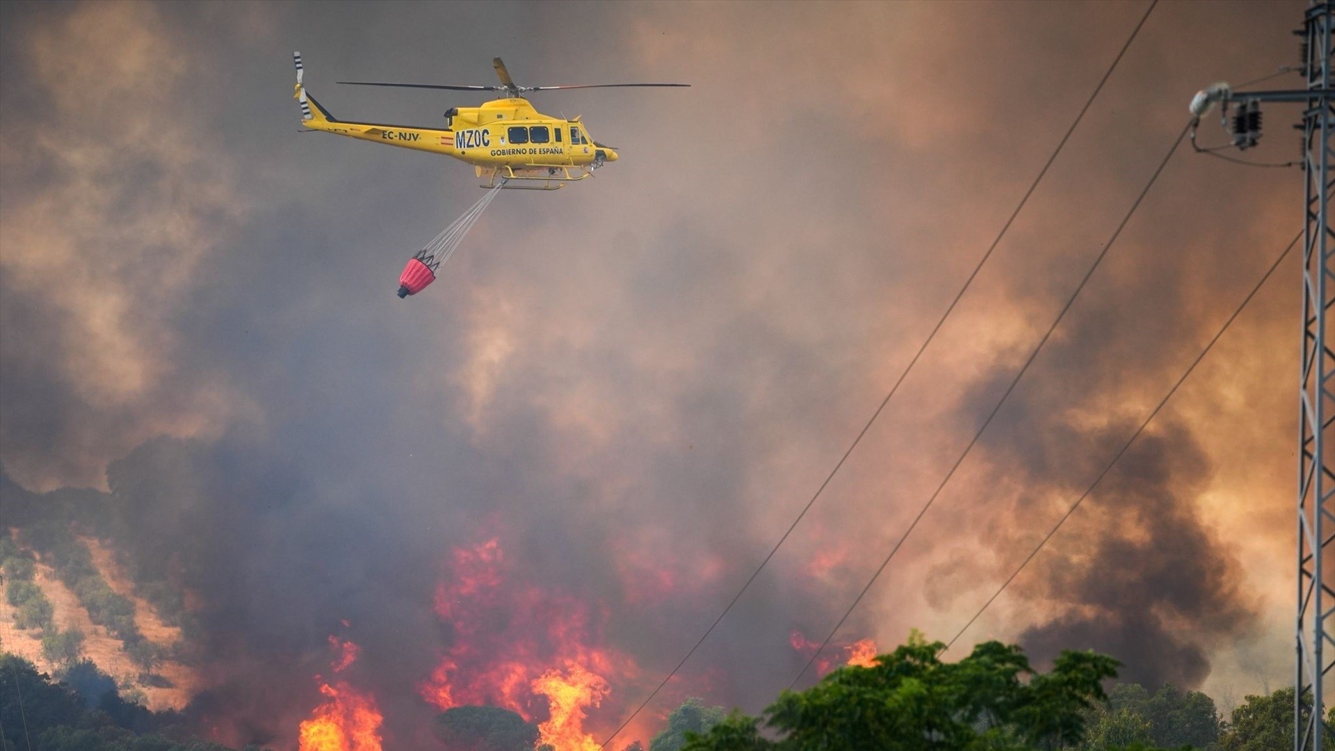 Imaxe do incendio orixinado en Villanueva de los Castillejos, xa no termo de Gibraleón (Huelva) / (MARÍA JOSÉ LÓPEZ - EUROPA PRESS)