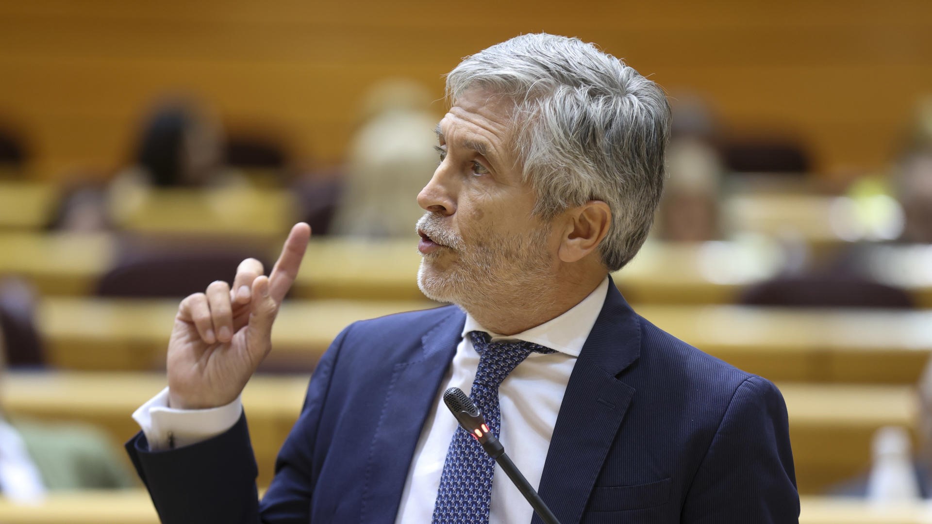 O ministro do Interior, Fernando Grande-Marlaska, intervén na sesión de control ao Goberno celebrada este martes no Senado (EFE/Víctor Lerena)