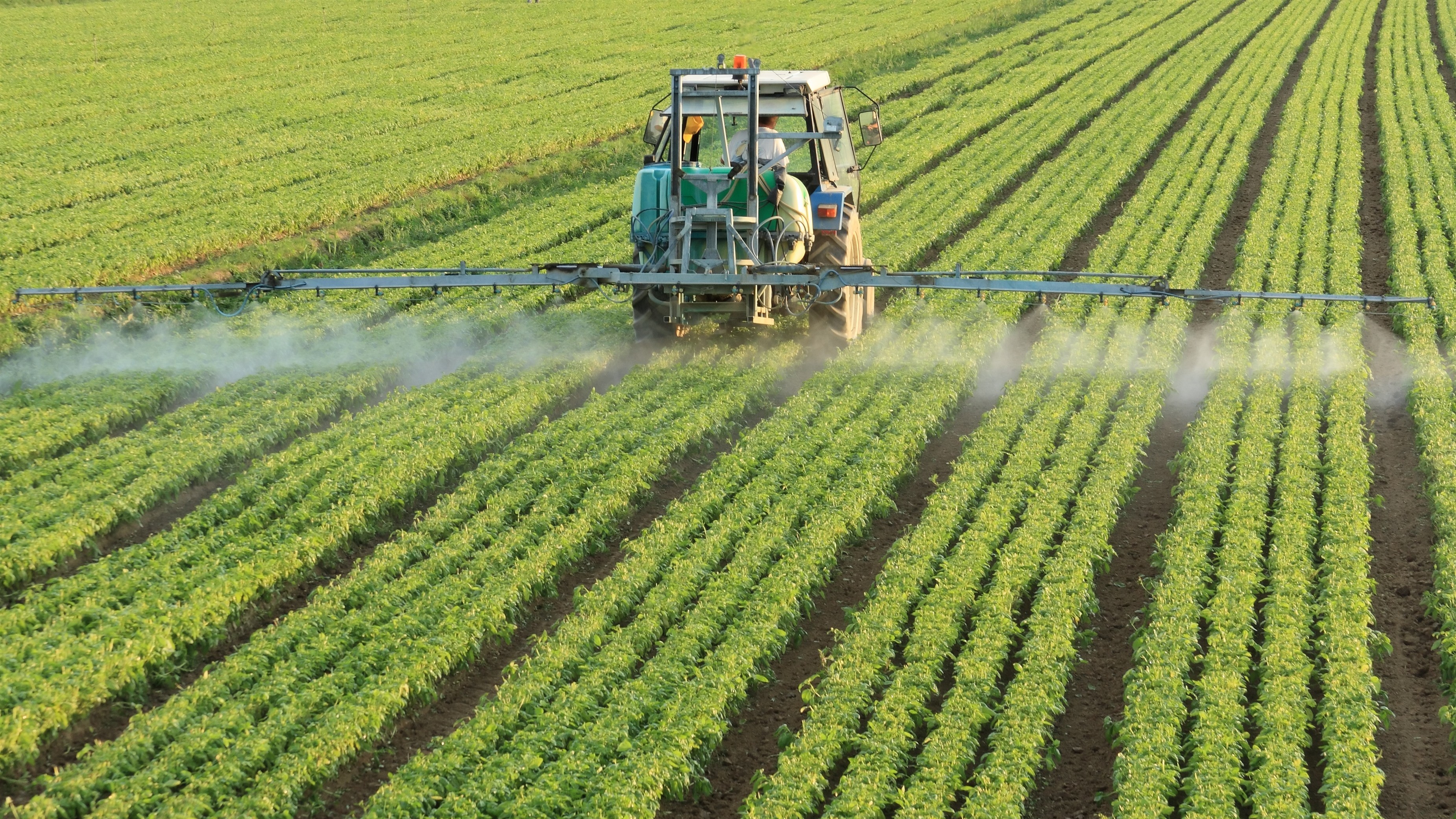 Imaxe de arquivo (Ministerio de Agricultura Pesca e Alimentación, vía Europa Press)