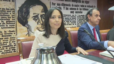 Mercedez González o o seu DAO están imputados no caso Leire