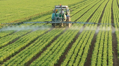 Imaxe de arquivo (Ministerio de Agricultura Pesca e Alimentación vía Europa Press)