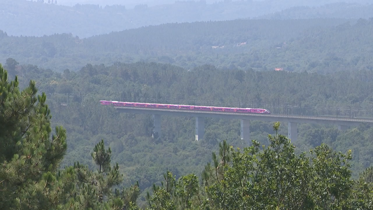 Imaxe do tren avariado á altura do Irixo.