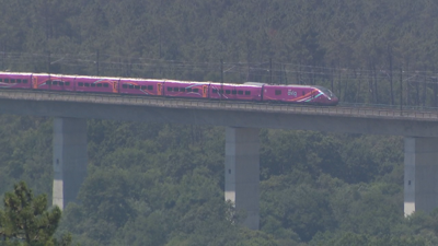 Imaxe do tren avariado á altura do Irixo.