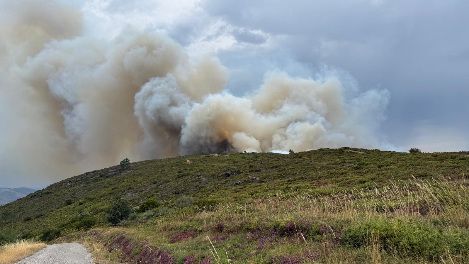 Incendio Ribas de Sil