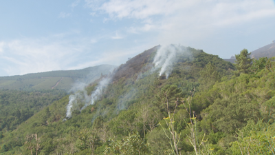 Incendio Ribas de Sil