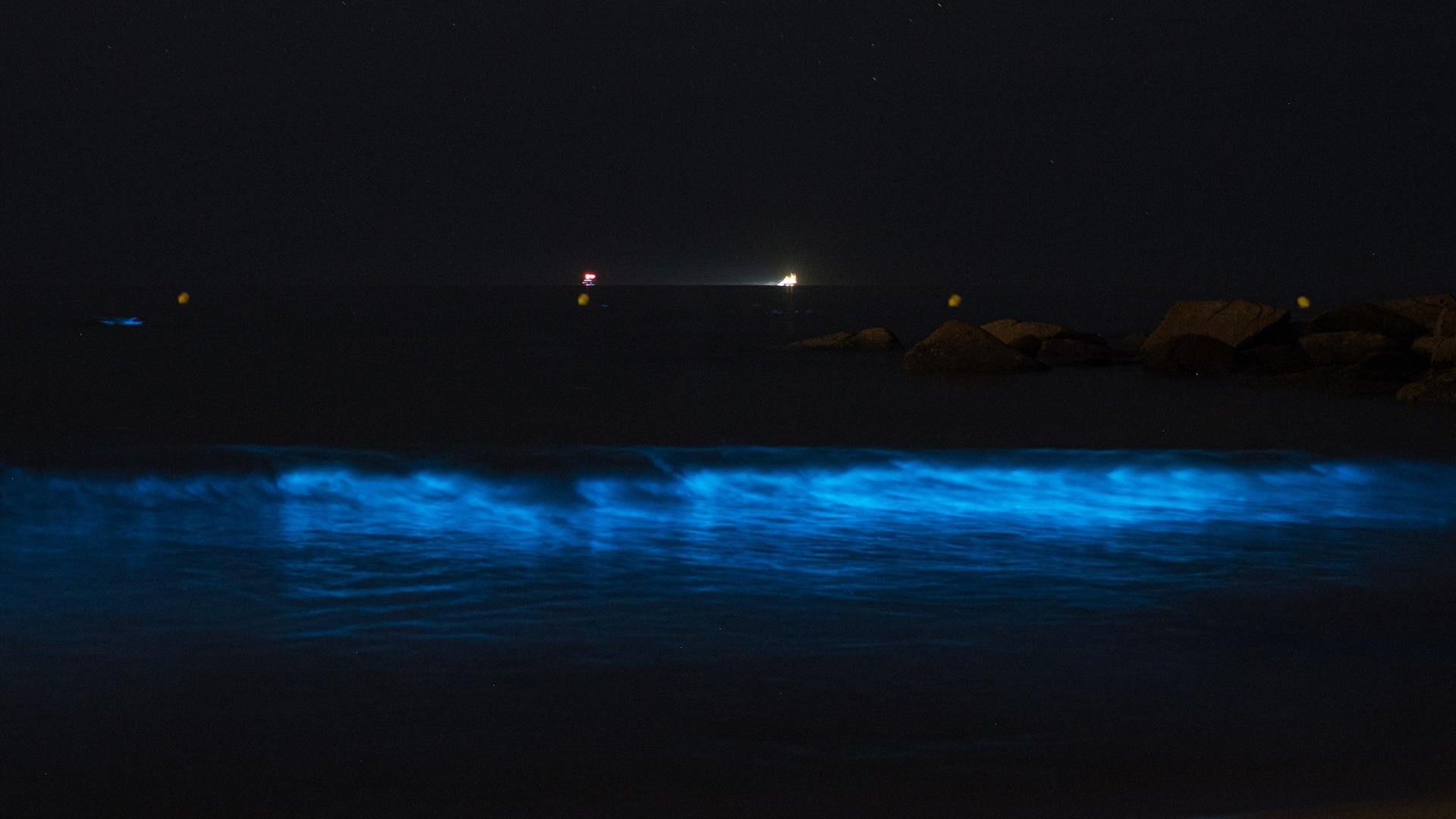 Mar de ardora na praia da Lanzada, a 15 de xullo de 2026. (Elena Fernández - Europa Press)