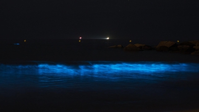 Mar de Ardora na praia da Lanzada, a 15 de xullo de 2026. (Elena Fernández - Europa Press)