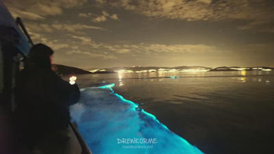 Imaxes cedidas por Drew Korme