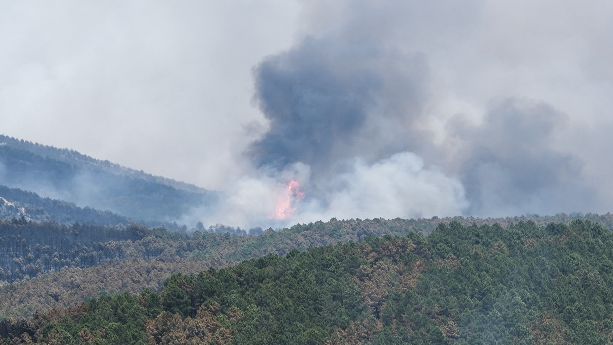 O 90 % do monte afectado está na Serra Norte. EFE/Nacho Izquierdo.