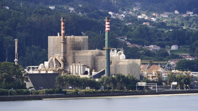 Fábrica de Ence en Pontevedra. Europa Press (Arquivo)