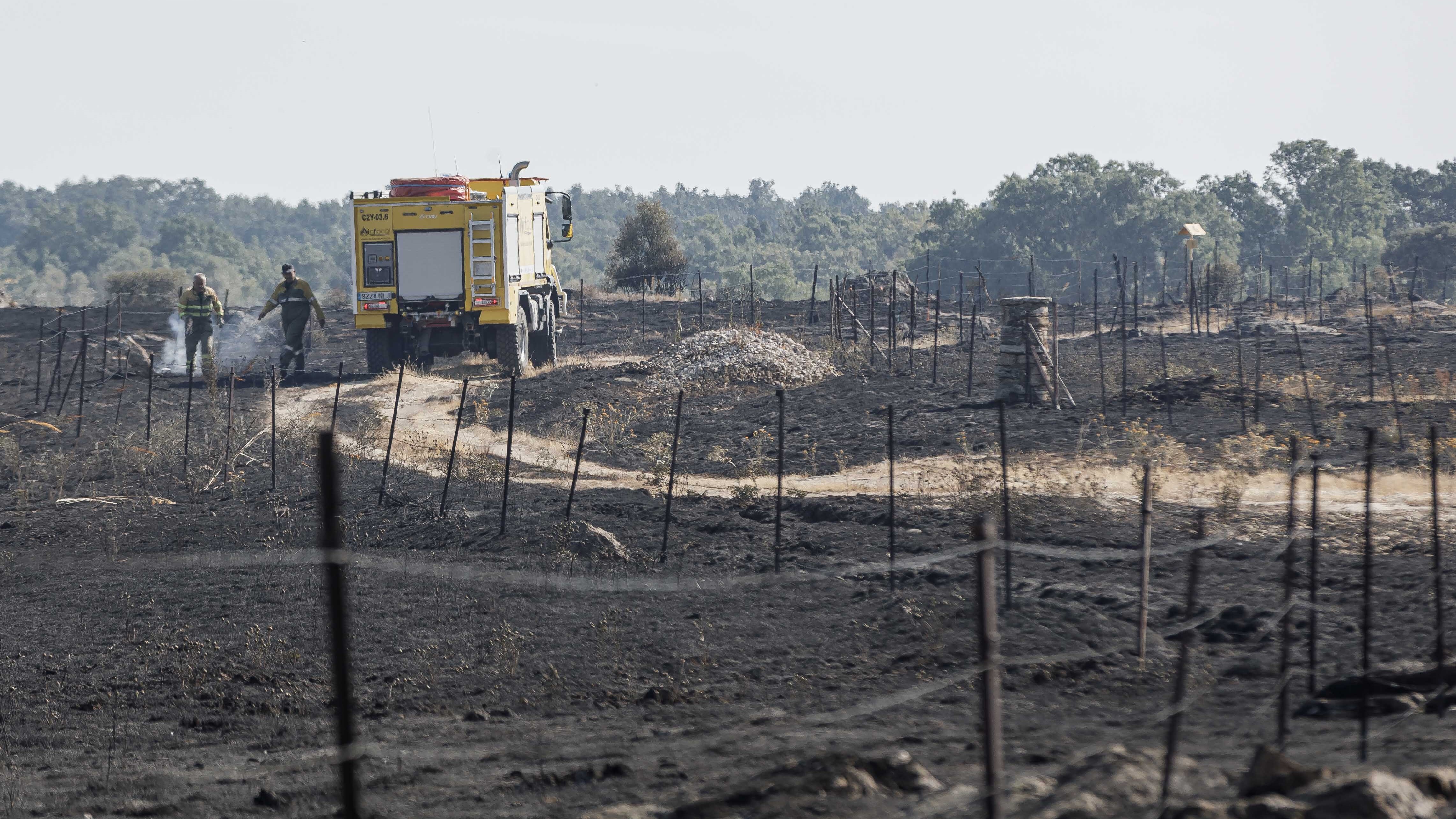 Terra queimada en Brieva, Segovia (Europa Press)