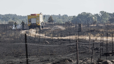 Terra queimada en Brieva, Segovia (Europa Press)