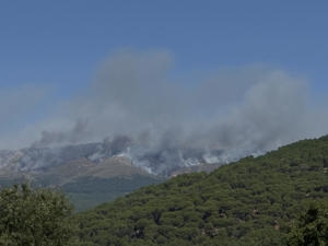 A ADRADA (ÁVILA) / (EFE/Daniel Caballo)
