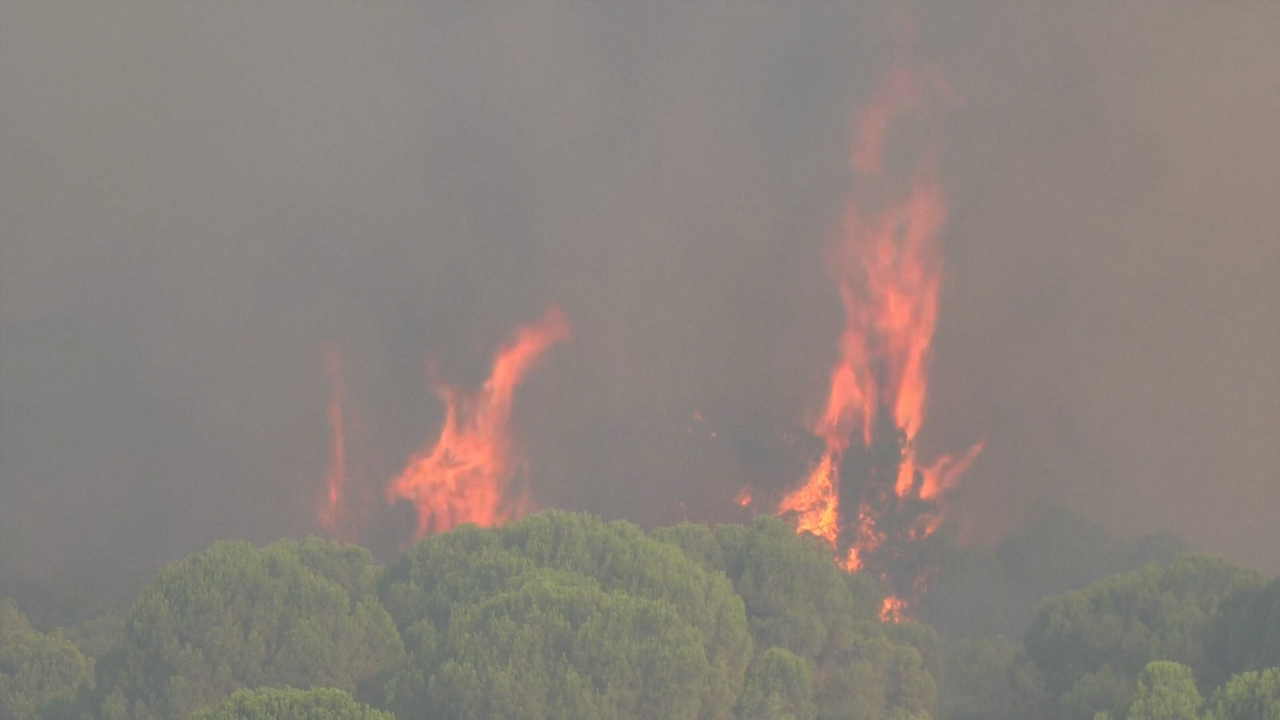 Lume en San Martín de Valdeiglesias. REUTERS