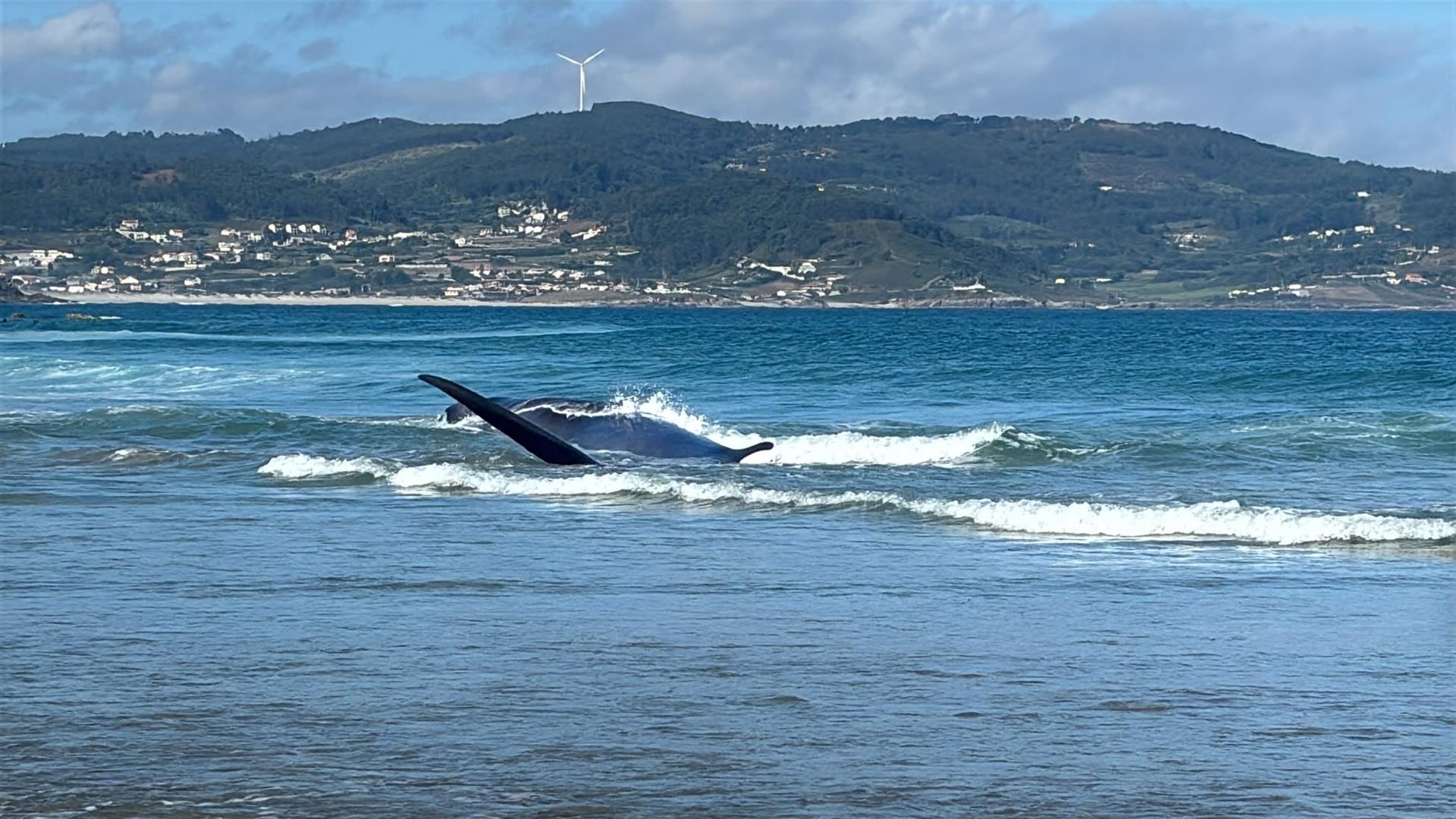 Salvamento Marítimo