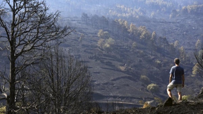 Paisaxe queimada tras o incendio de Burgohondo, en Ávila (EFE/Raúl Sanchidrián)