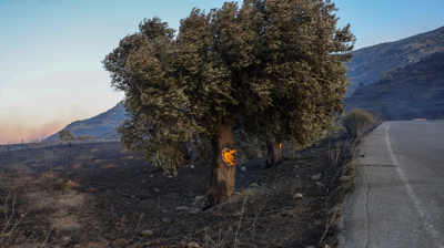 O incendio declarouse este mércores preto da localidade de Kria Vrisi, situada no centro da illa. Reuters
