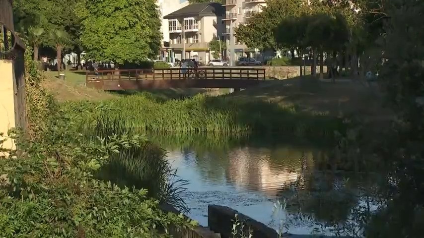 O río Cabe ao seu paso por Monforte (TVG)