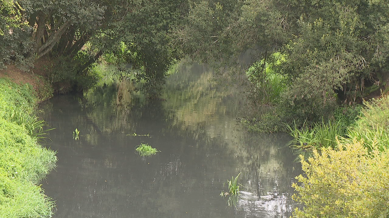 Vertedura no río Sar, en Bertamiráns. TVG
