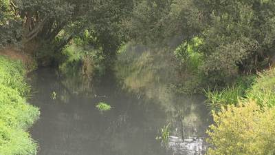 Vertedura no río Sar, en Bertamiráns. TVG