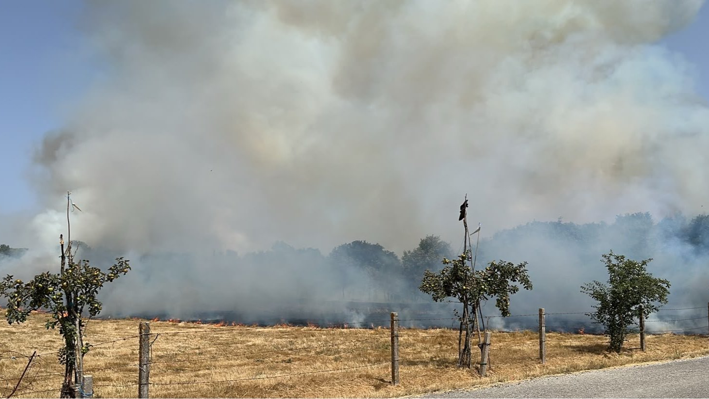 Imaxe do incendio de Baltar este sábado ás 12:40 horas. Imaxe publicada en X por @lumesgal