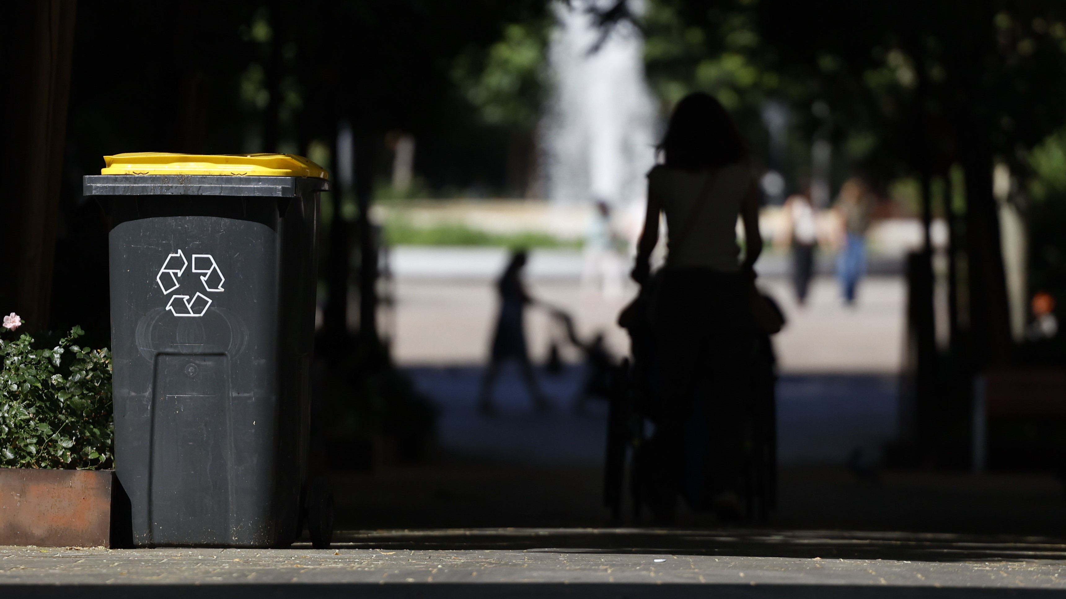 (EFE/Mariscal)