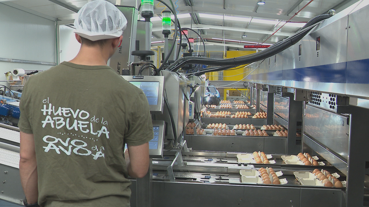 A expansión vai aparalleda á tecnificación nos procesos de control de calidade e empaquetado