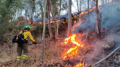 Traballos de extinción no incendio de Niebla, Huelva. Europa Press