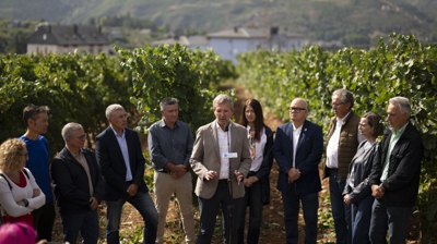 O presidente da Xunta, Alfonso Rueda, visita a un viñedo da cooperativa Viños Barco coincidindo co inicio da vendima (EFE/Brais Lorenzo)