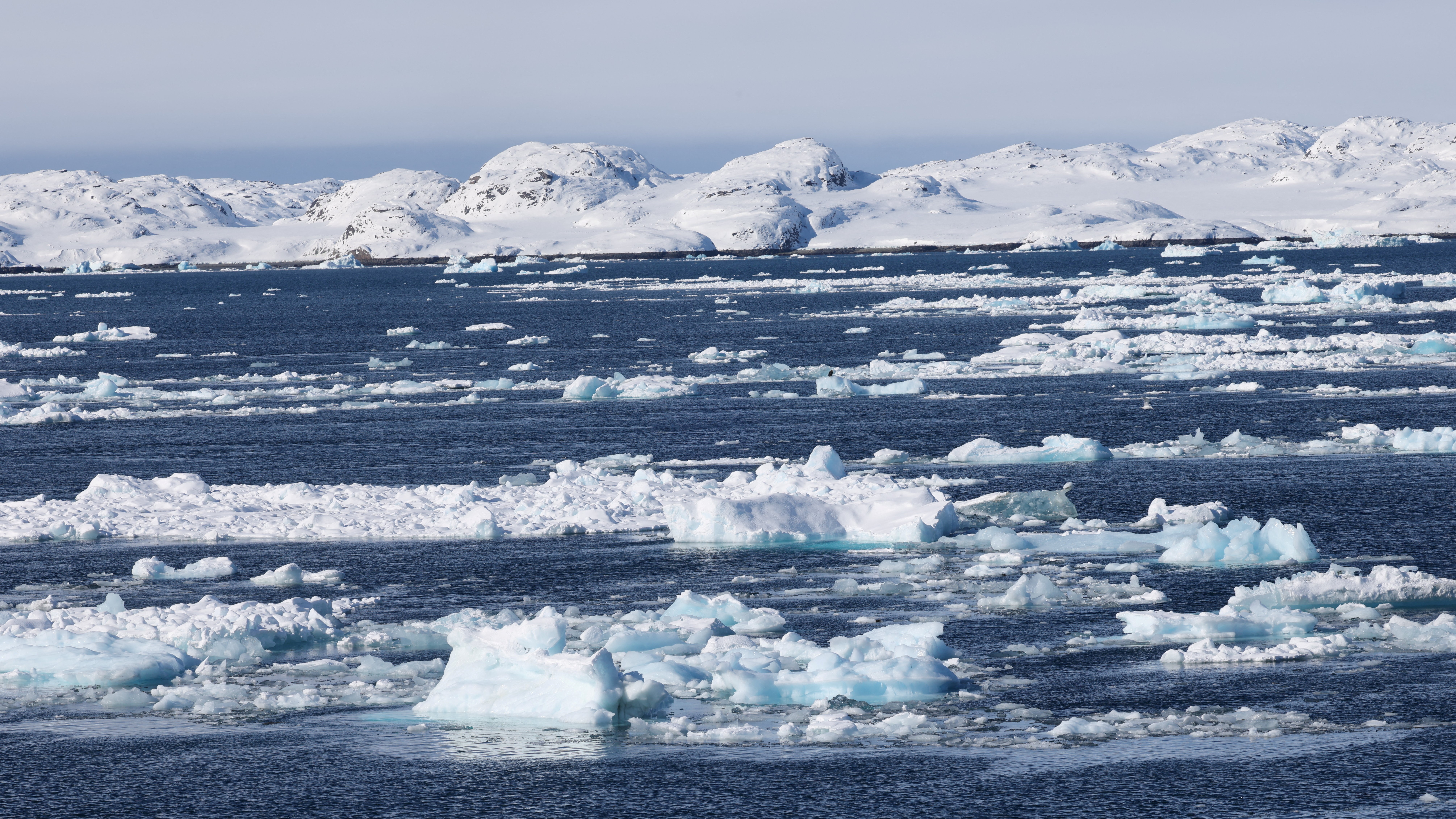 Xeo aboiando no fiordo de Nuuk (Groenlandia). REUTERS/Leonhard Foeger/Arquivo