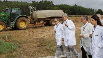 Alfonso rueda, este mércores en Arzúa (EFE/Lavandeira jr)